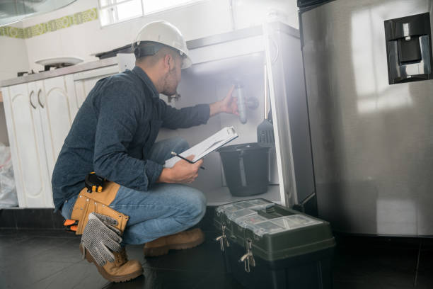 Best Plumbing Inspection Services  in Palisade, CO